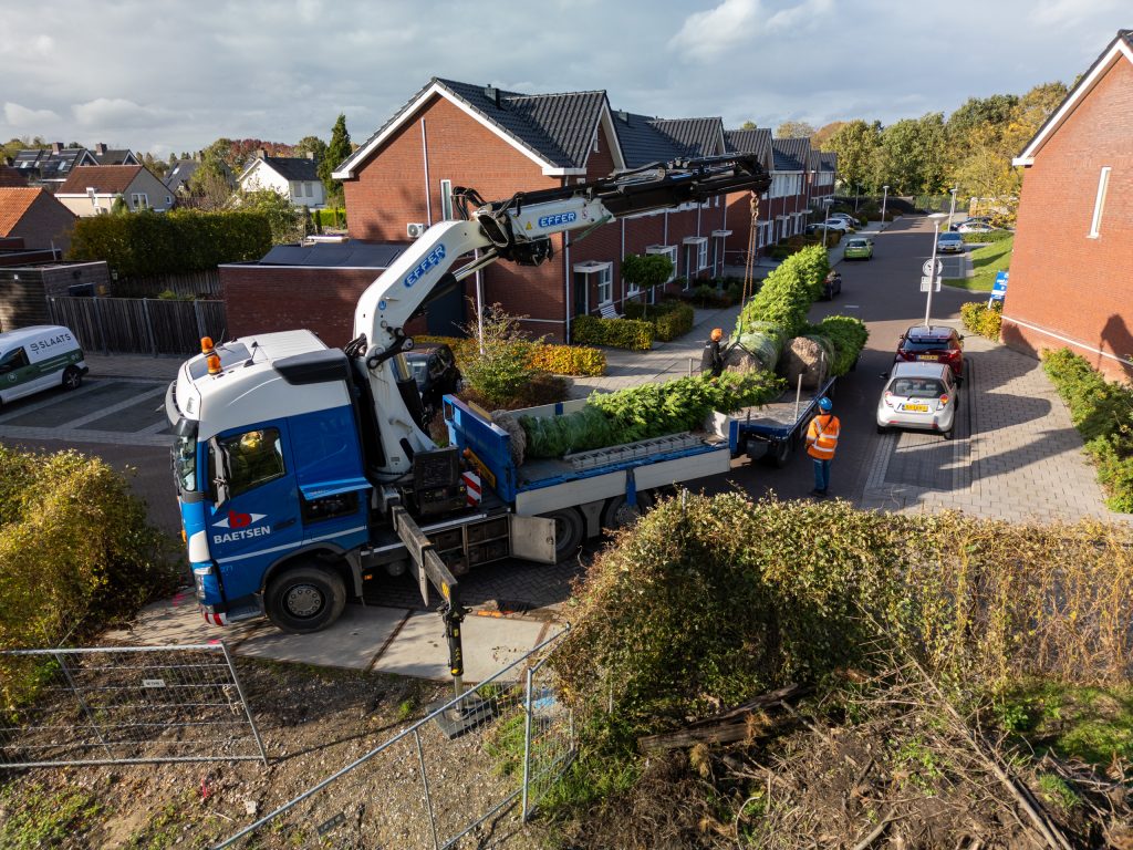 Bomen aanplanten